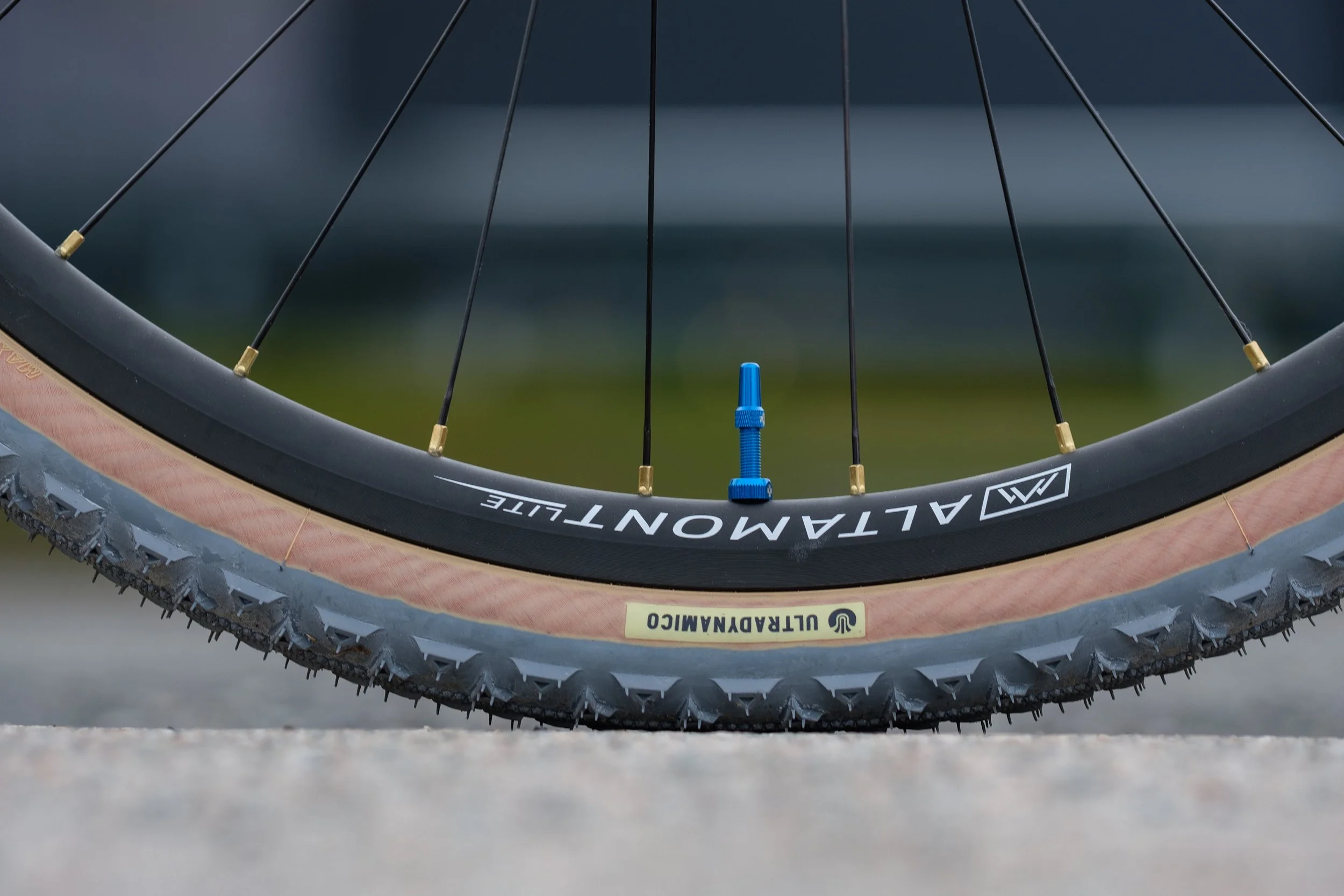 Nate's All-City Macho King 853 (55cm) — Kissing Crows Cyclery